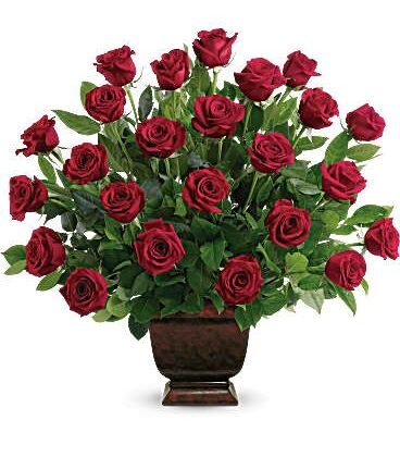 Two dozen red roses